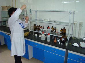 廣州優(yōu)質食品級堿式碳酸鎂價格分析與技術推廣